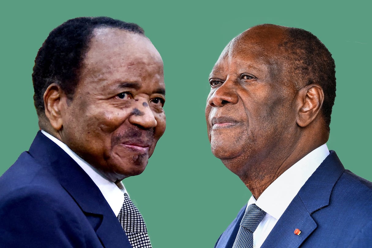 WhatsApp Image 2025-07-29 at 15.46.18