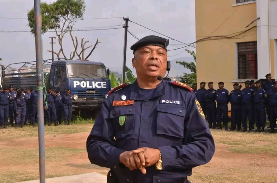 WhatsApp Image 2025-08-03 at 16.09.17