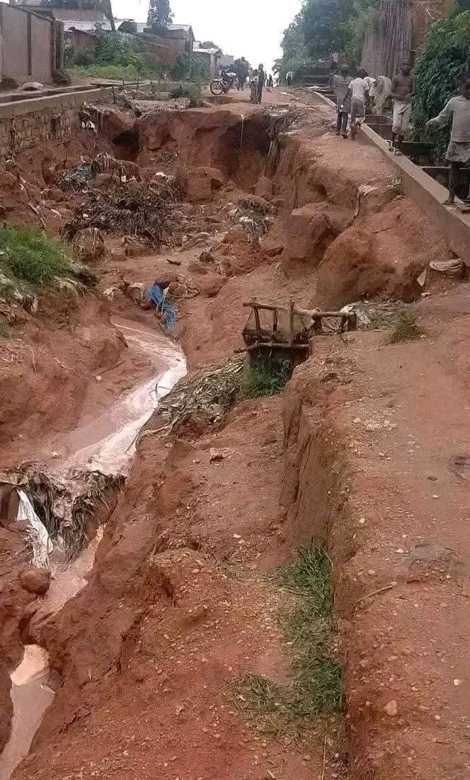 WhatsApp Image 2025-08-13 at 19.41.43