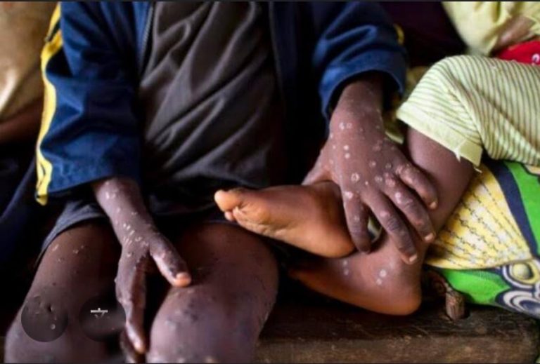 WhatsApp Image 2025-09-22 at 18.46.12