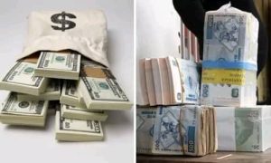 WhatsApp Image 2025-09-28 at 08.42.17