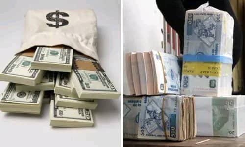 WhatsApp Image 2025-09-28 at 08.42.17