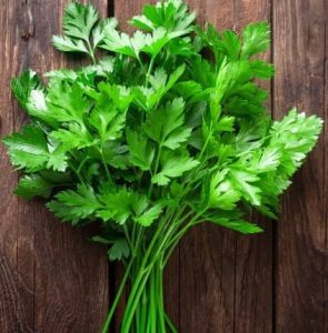 WhatsApp Image 2025-10-28 at 16.52.21 (1)